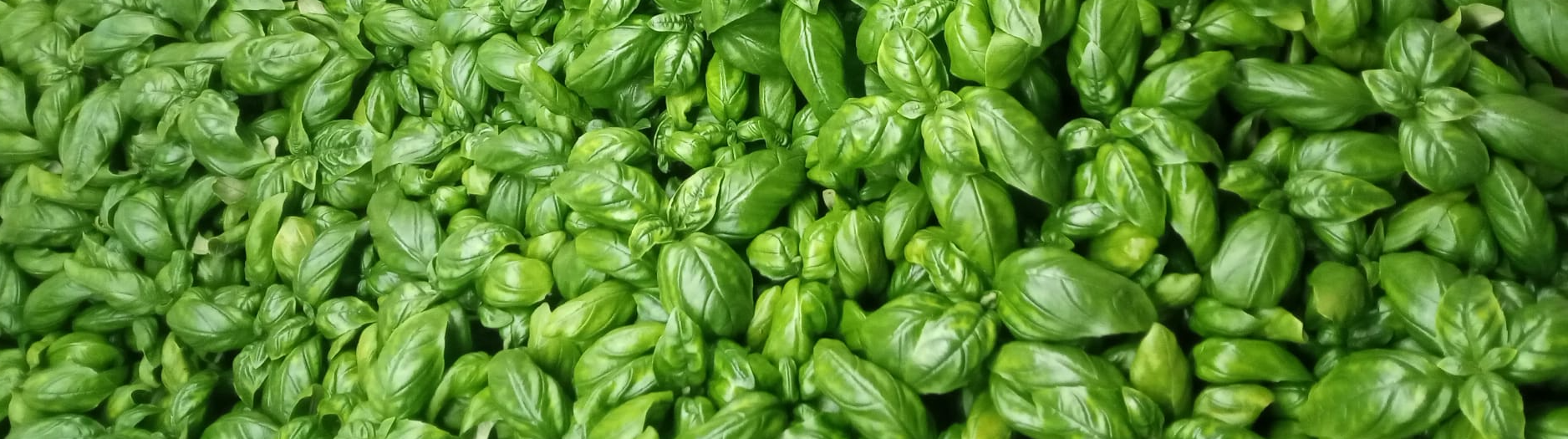 Resources optimizations